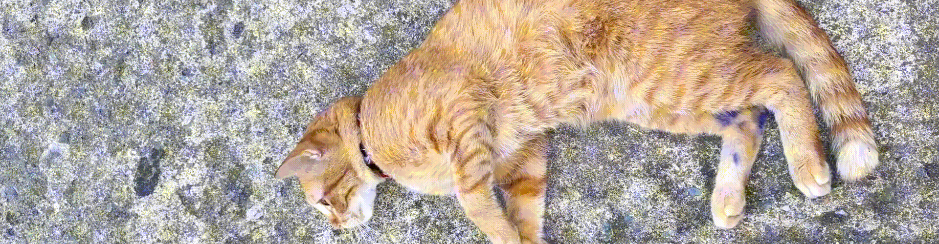 เริ่มใหม่อีกรอบ (และอีกรอบๆ)